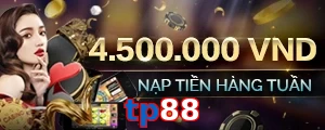 tp88