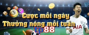 tp88
